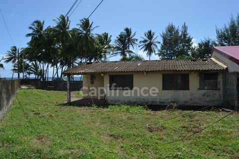 photo no. 1
