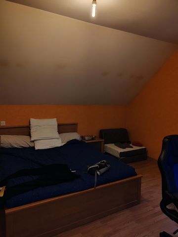photo no. 8