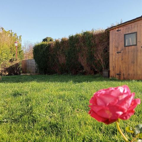 photo no. 16