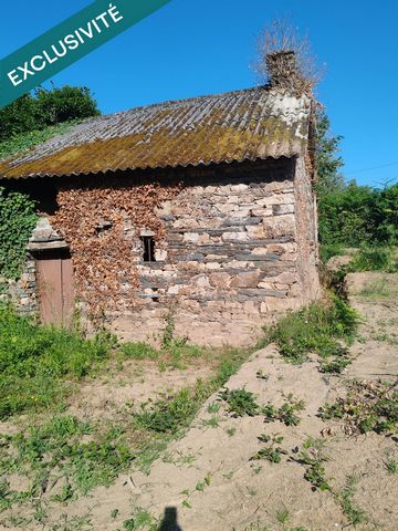 photo no. 1