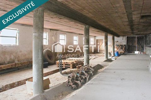 photo no. 3
