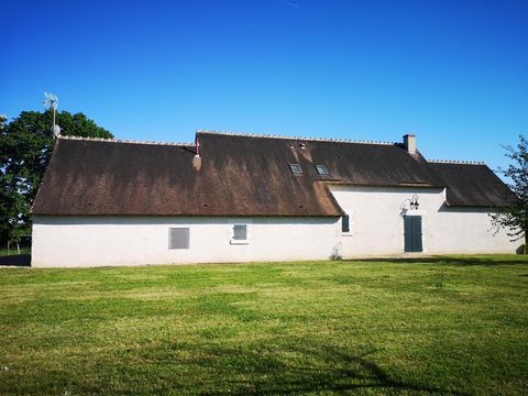 photo no. 9