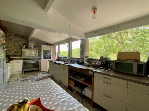 photo no. 13
