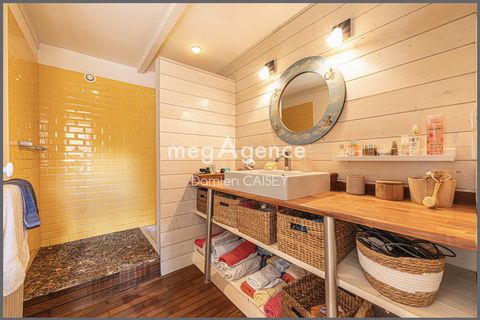 photo no. 12