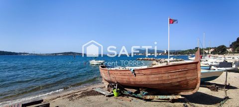 photo no. 16