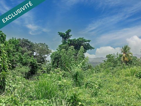 Terrain en pente de 1410 m²