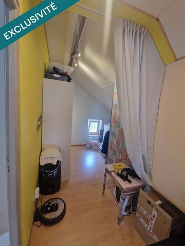 photo no. 11