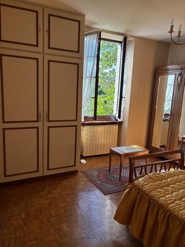 photo no. 12