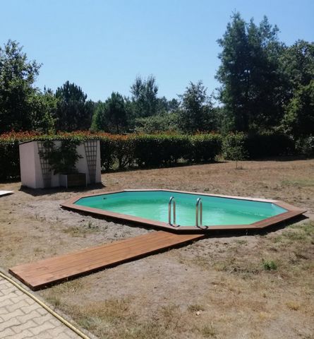 photo no. 12