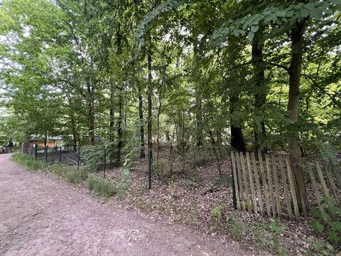 Deze woonkavel in Bennewitz biedt de perfecte gelegenheid om midden in het bos een woning naar uw wensen in te richten. Met een perceeloppervlakte van 403 m² en de mogelijkheid om bomen te kappen, afhankelijk van het seizoen, heeft u de vrijheid om u...