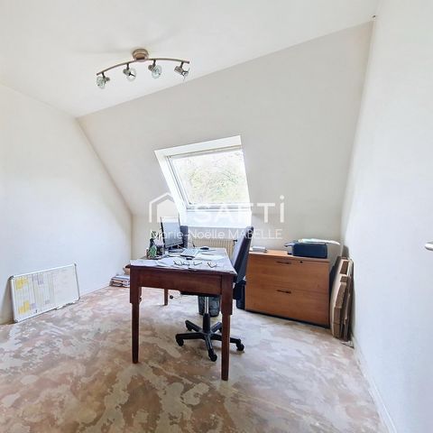 photo no. 11