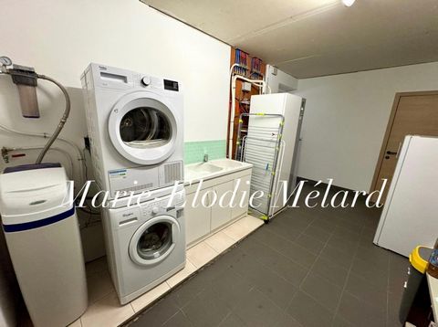 photo no. 12