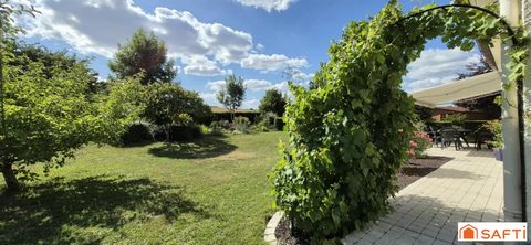 photo no. 15