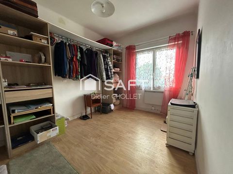 photo no. 7