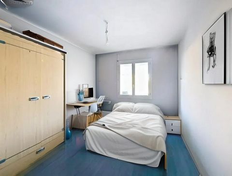 photo no. 12