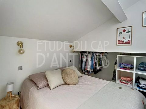 photo no. 10