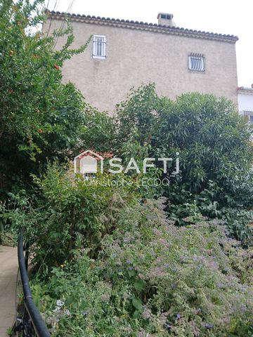 photo no. 15