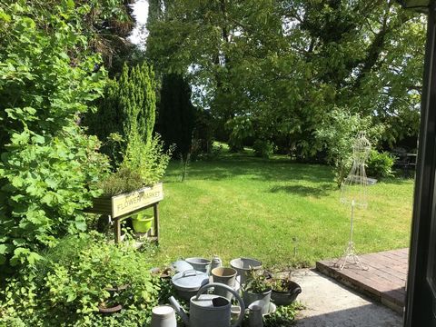 photo no. 12