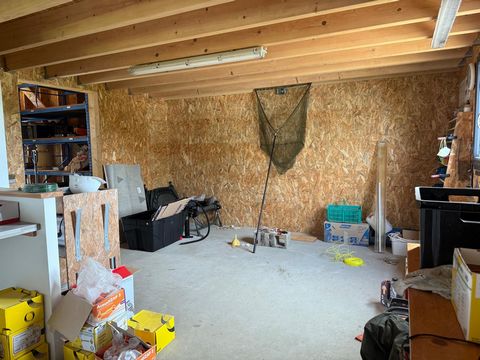 photo no. 12