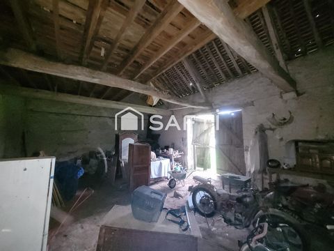 photo no. 12