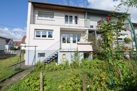 photo no. 10