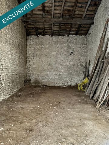 photo no. 9