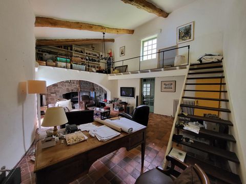 photo no. 13