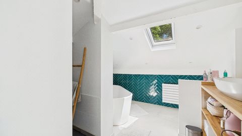 photo no. 12