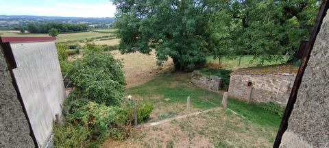 photo no. 10