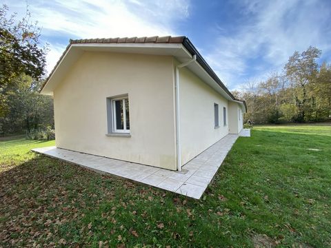 photo no. 11