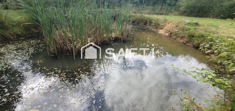 photo no. 18