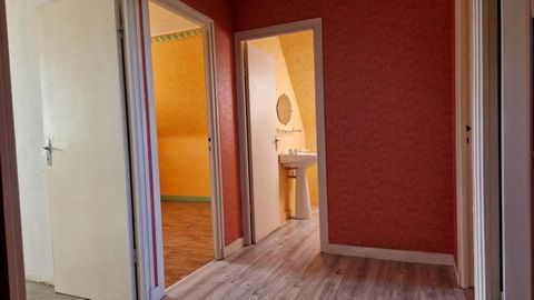 photo no. 11