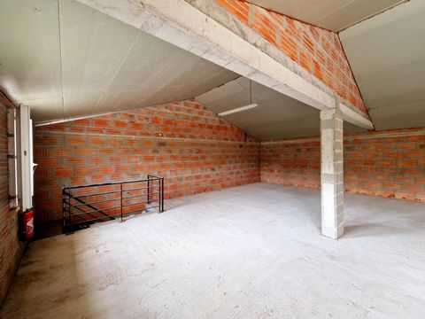 photo no. 2