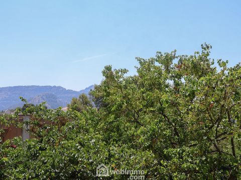 photo no. 13
