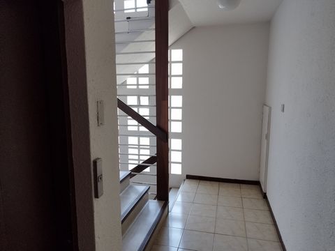 photo no. 12