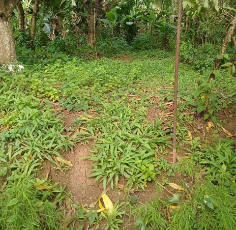 TERRAIN PLAT A FORT POTENTIEL
