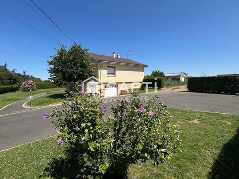 photo no. 13