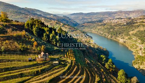 Property, for sale, in Douro Valley, in Penajoia , Lamego and S. Martinho de Mouros. Inserted in the most beautiful wine region of Portugal, producing grapes and fruit of superior quality and surrounded by a unique landscape, with stunning views over...