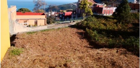 SELL urban plot in La Orotava. Great views. A few minutes drive from the center. At the foot of the main road. It allows building of 2 heights. 485 m 2.