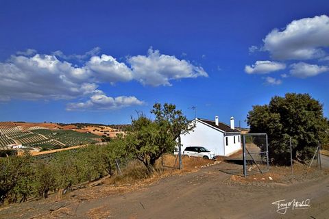 This great single storey country property was designed and constructed to the highest standards by the current owner. The 'cortijo' itself is fully enclosed and gated providing a good amount of outside space for gardens etc which are as yet undevelop...