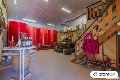 Nichée dans le Périgord Pourpre, en Dordogne, l’exploitation viticole profite à la fois d’un cadre paisible de toute beauté et de la proximité de la ville de Bergerac. Outre ses 44 hectares de vigne, elle comprend le matériel viticole et toutes les i...