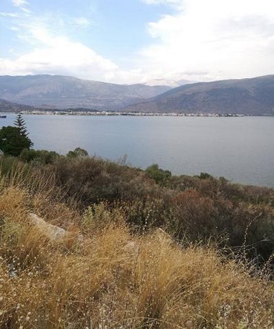 BEST PRICE EVER!!! For sale  a plot of land of 35.409 sq.m., outside the city plan, with spectacular views, at the location “Tripori” of Galaxidi, outside the Galaxidi settlement , within the Delphi landscape zone B ‘, Municipality of Delphi. It is b...