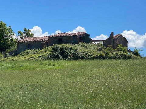 RADICOFANI: Farm of approximately 70 hectares of which 36 hectares of hillside arable land currently cultivated with grassland and cereals and the remaining pasture and woodland. The property includes a stone farmhouse on two levels of approx. 450 sq...