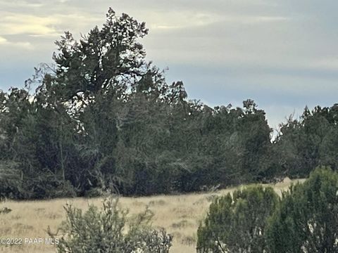 Originally 40 acres this parcel has been cut down to one 20-acre parcel (appoximately) and two 10-acre parcels. This 20-acre parcel is the perfect location for your off-grid homestead. Just off of a county maintained road. Property is level and nicel...