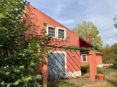 Farm with about 10ha, located in the parish of Aveiras de Baixo (near Azambuja and 45 minutes from Lisbon). This property consists of 2 Country Houses typologies T2+2 and T4+1 (both with Fireplace and the second with Central Heating), with Garage, An...
