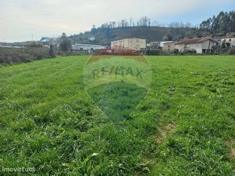 Rustic land with 4.240m2, located in Lugar de Devesa, in the parish of Sobrado, Valongo. With great access and good sun exposure. It is next to the national road that connects the townhouse and Lordelo. Come and see!