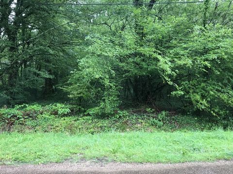 1 hour south Paris, fast access A6 Courtenay. Building land of 2549 m2, flat and wooded, closed on 2 sides, 30 meters of facade. 'Information on the risks to which this property is exposed is available on the Geohazards https:// ... website'