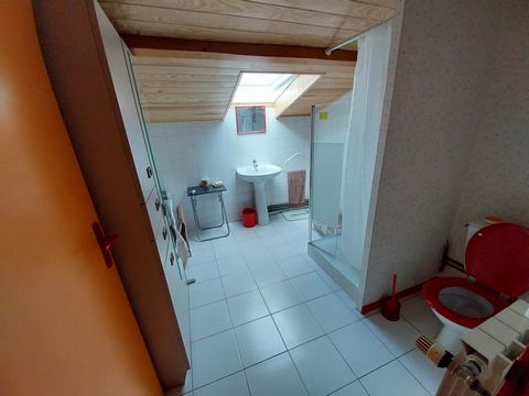 photo no. 12