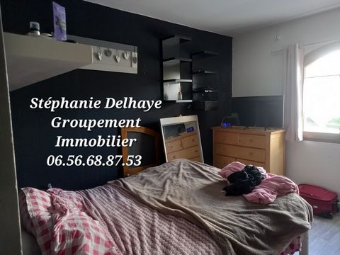 photo no. 12