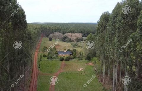 Lokalizacja: Ten obiekt jest dogodnie zlokalizowany w Santo Tomé, Corrientes.     Znajduje się w dogodnej odległości od kilku interesujących miejsc, - 12 km od Virasoro - 60 km od Wysp Świętego Tomasza i Książęcej - 90 km od lotniska Posadas - 327 km...